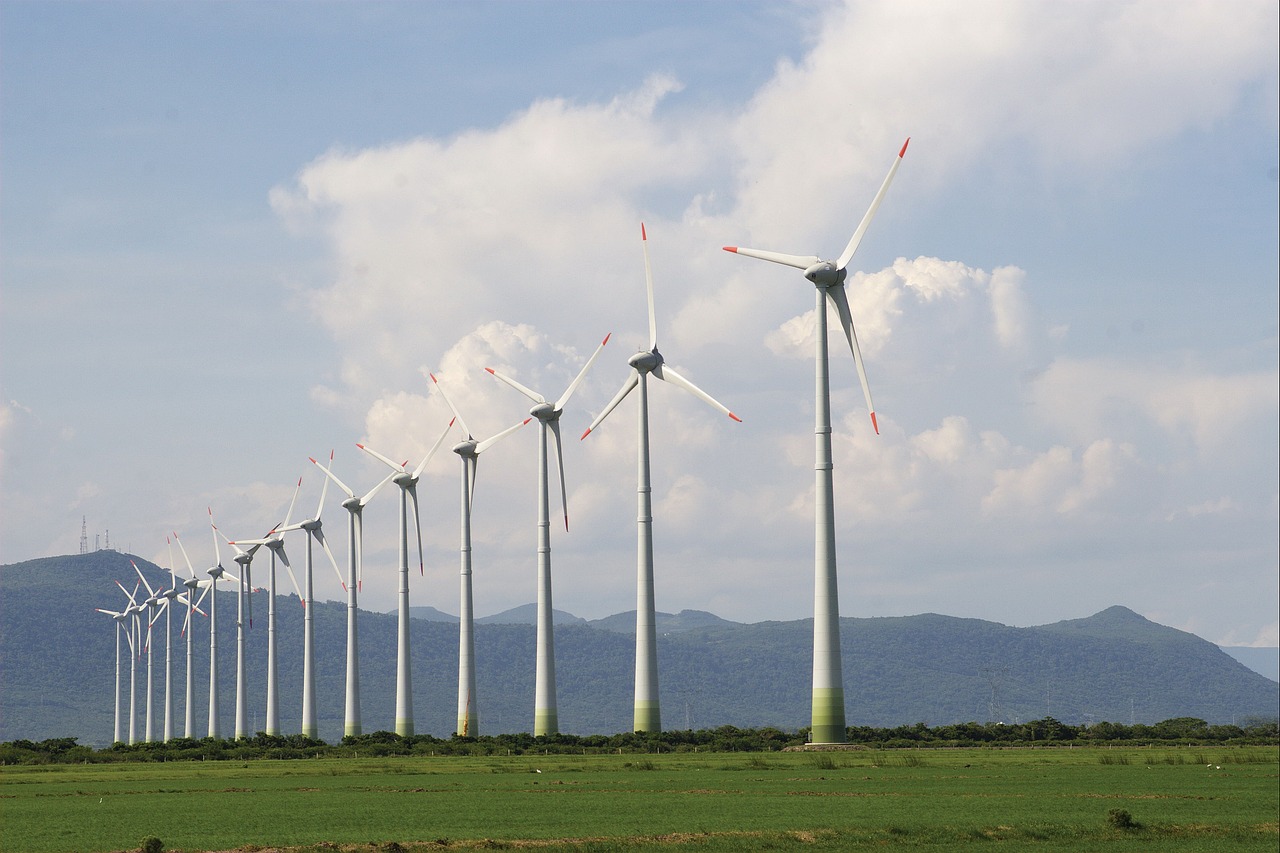 Exploring the Potential of Biomass Energy